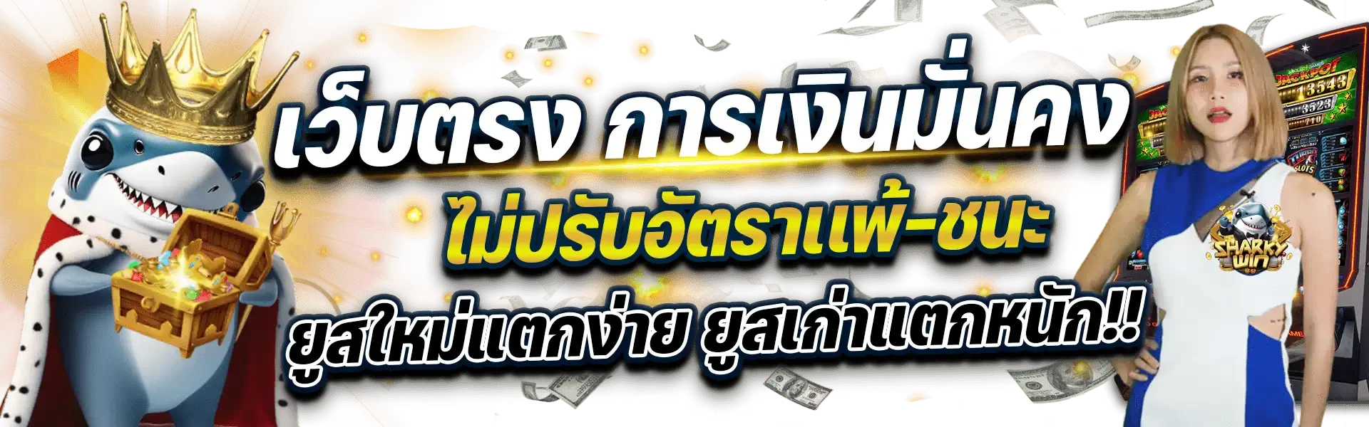 โปรโมชั่น sharkywin